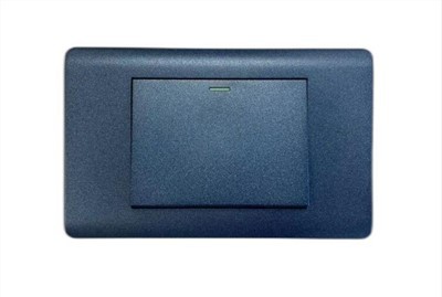 Bendrasis tarptautinis jungiklis